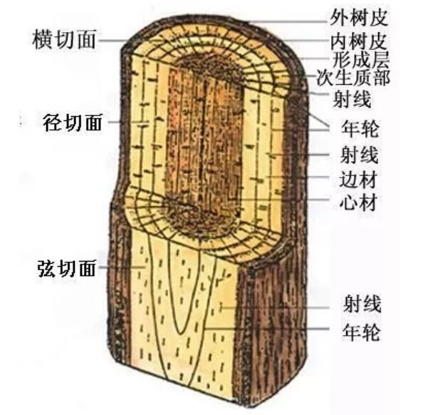 實木家具有色差正常嗎！實木家具色差有原因！